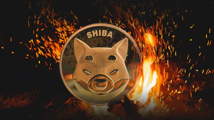 SHIB Burn Pace Spikes 1,502%, Here's How Much SHIB Was Removed