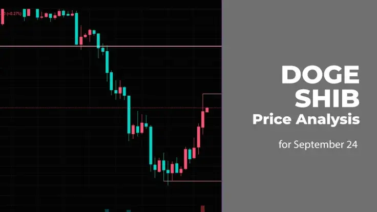DOGE and SHIB Price Analysis for September 24