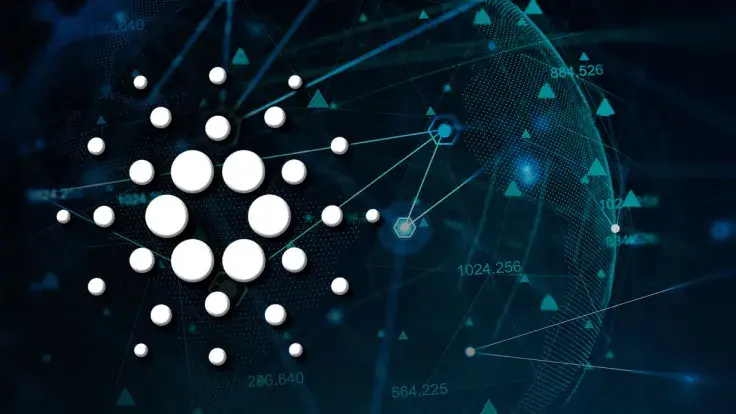 Cardano Vasil: Here's How Network Looks Three Days Later