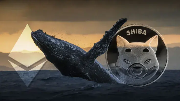Ethereum Whales Still Hold a Lot of SHIB Despite Cutting Positions: Details