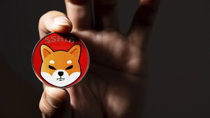 SHIB Payments Expand to Million More Users Through This Integration: Details