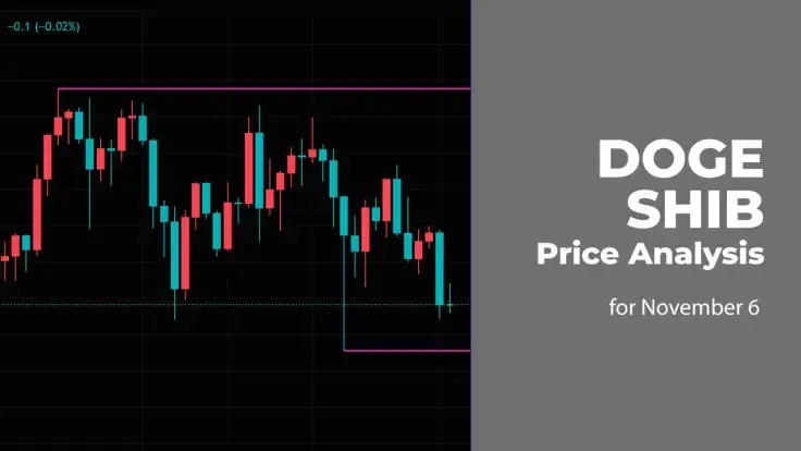 DOGE and SHIB Price Analysis for November 6