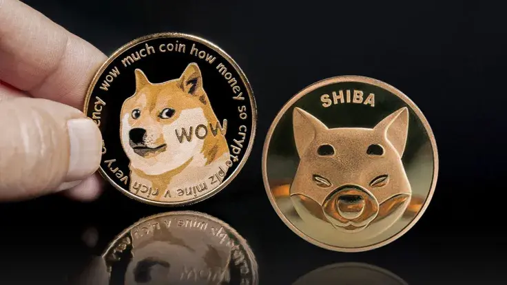 Doge Founder Slams Shiba Inu, Here's What for This Time