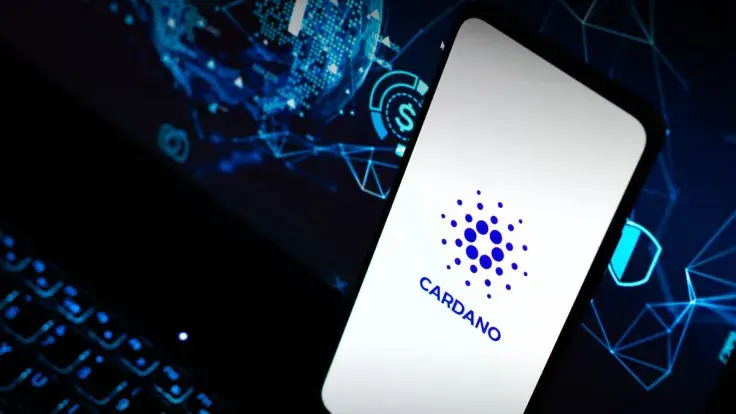 Cardano Network Activity Spikes on FTX Crash, Here's Detailed Insight