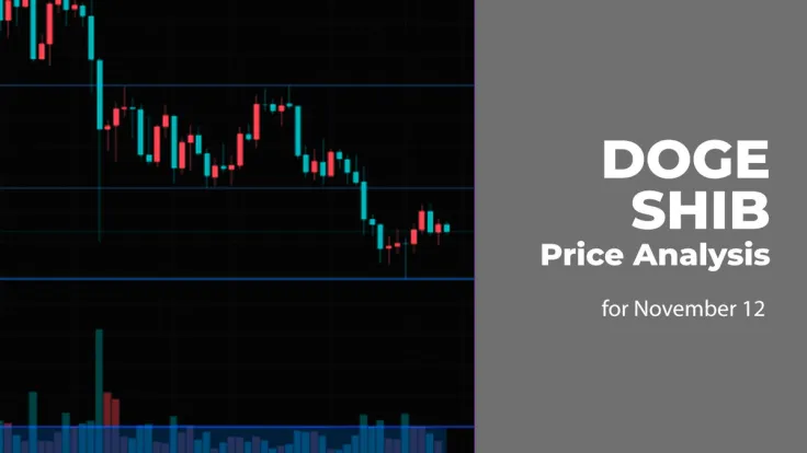 DOGE and SHIB Price Analysis for November 12