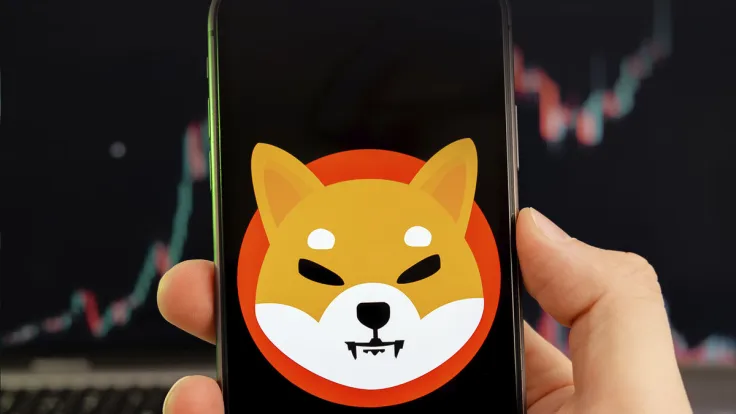 SHIB Records Slight Gain in Short-term Speculators, Here Is What's Happening