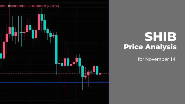 SHIB Price Analysis for November 14