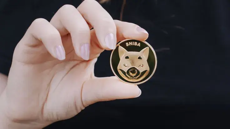 SHIB Sets New Record in This Metric, Price Weighs Next Move