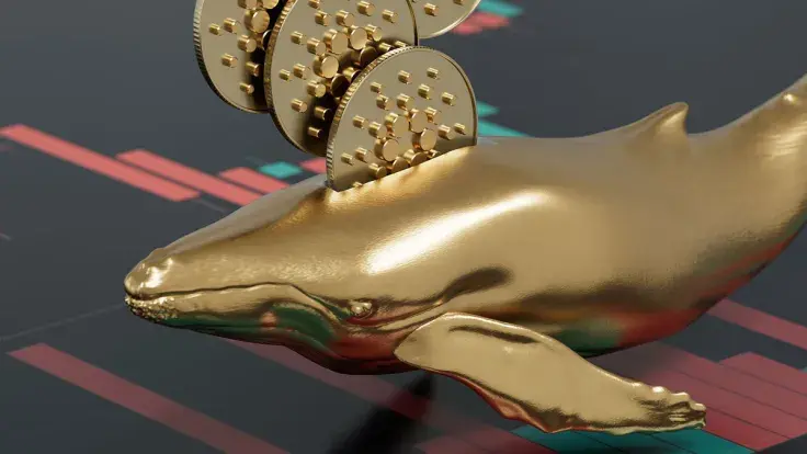 Cardano: Whales Accumulate as Community Awaits Huge News