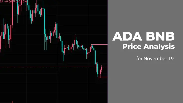 ADA and BNB Price Analysis for November 19