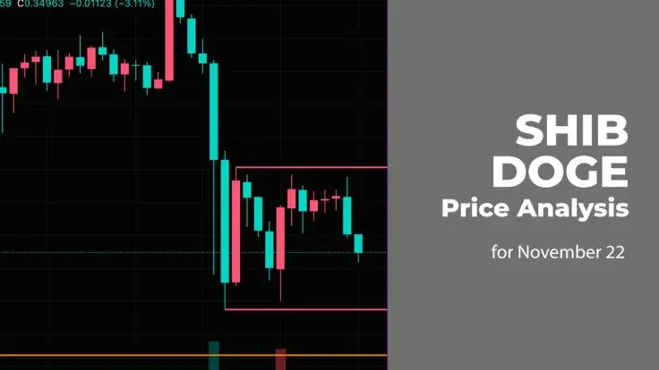 SHIB and DOGE Price Analysis for November 22