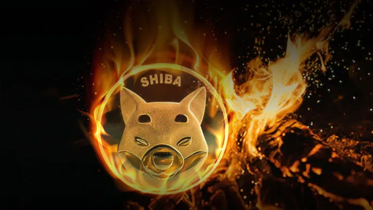 SHIB Burn Rate Jumps 252% on Exciting Ecosystem Developments