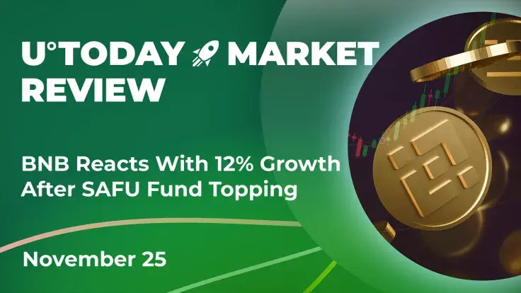 BNB Reacts with 12% Growth After SAFU Fund Topping: Crypto Market Review, Nov. 25