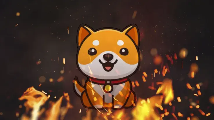 Here's How Massive Amount of BabyDoge Can Be Burned: Details