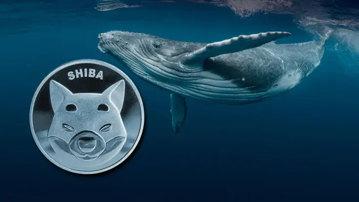 SHIB Trading Volume Up 102% As Whales Grab 323 Billion Coins in 24 Hours 
