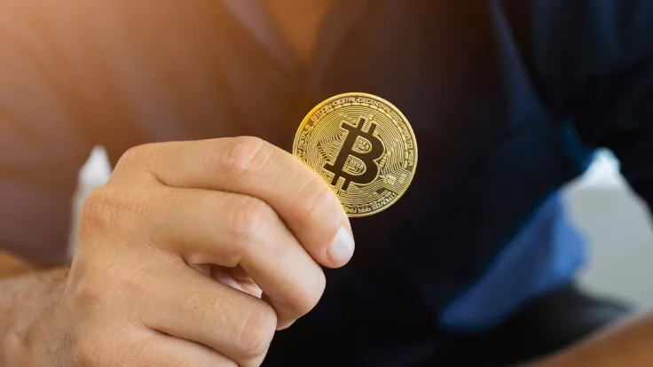 Number of Bitcoin Holders at All-time High as Bottom Draws Near: Details