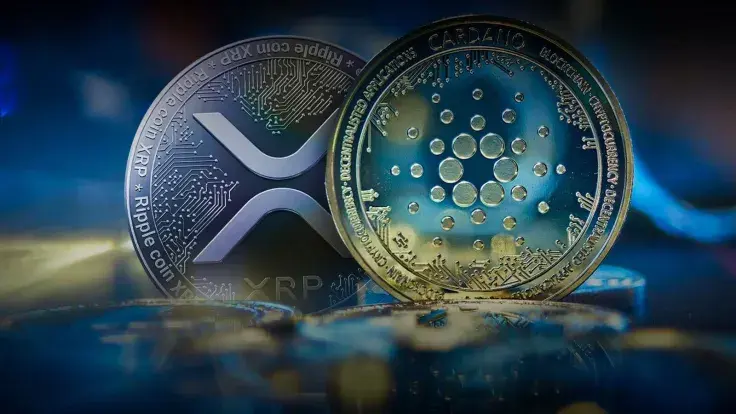 Users Dislike XRP and Cardano, Says Morgan Creek’s Yusko