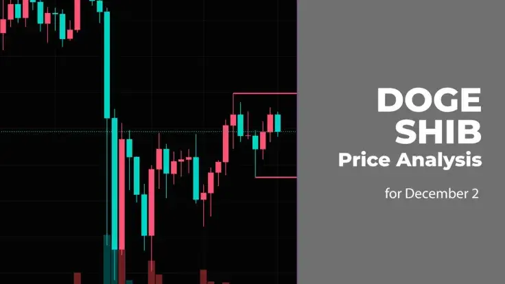 DOGE and SHIB Price Analysis for December 2