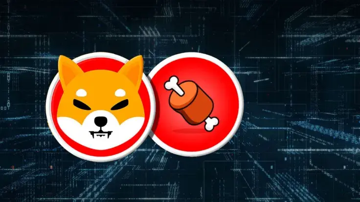 Strange Activity Happens to Shiba Inu's BONE, Here's What It's About