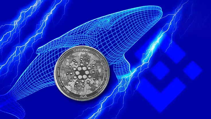 Cardano (ADA) Gets Into Largest BNB Chain Whales' Top Purchases