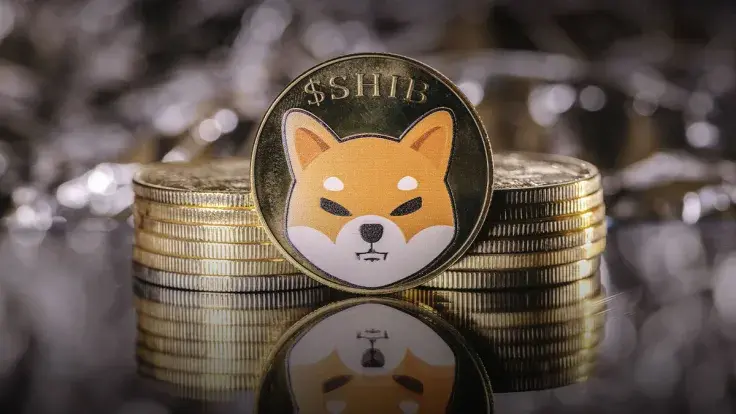 Shiba Inu (SHIB) Has Great Potential in 2023, According to This Vote