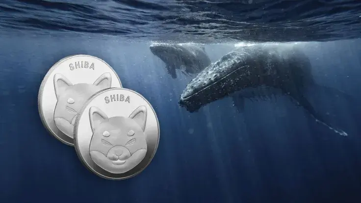 72.46 Billion SHIB Dumped by Biggest Whales Overnight