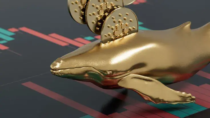 Cardano Whales Added 331 Million Additional ADA After Collapse of FTX