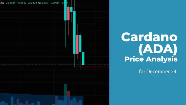 Cardano (ADA) Price Analysis for December 24