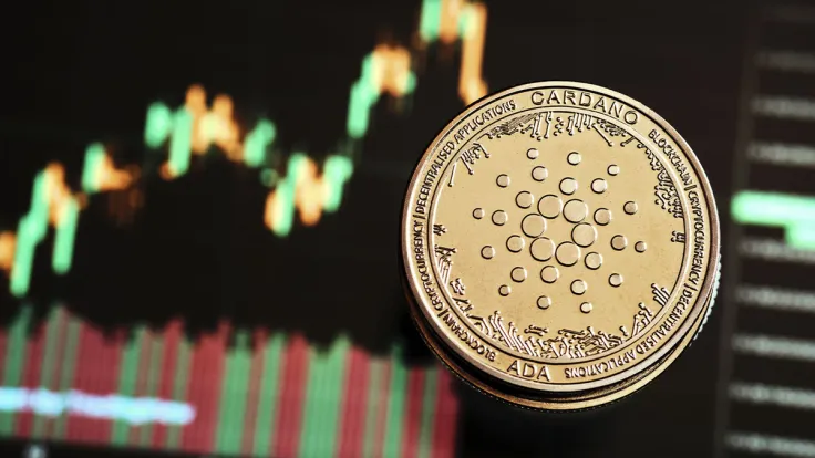 ADA 'Surreal' Price Drop Will End in 3-9 Months, Mike Alfred Expects