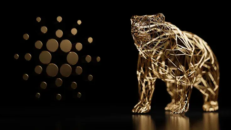 Investors Prefer ADA to 'Fallen VC Coins' in Current and Recent Bear Markets: Source