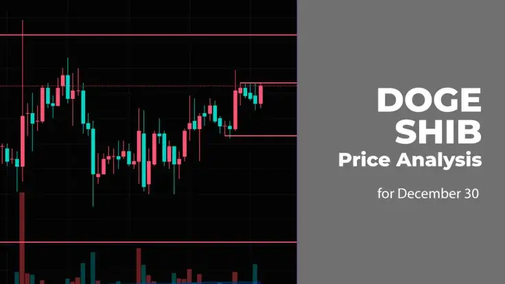 DOGE and SHIB Price Analysis for December 30