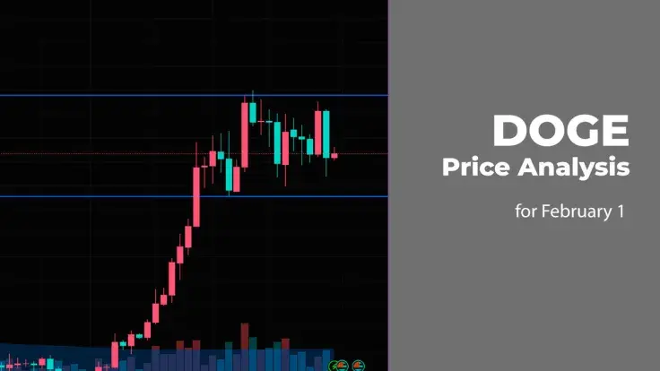DOGE Price Analysis for February 1