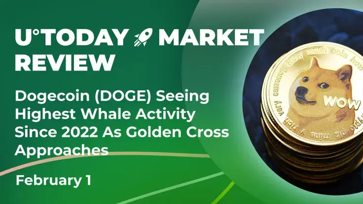 Dogecoin (DOGE) Seeing Highest Whale Activity Since 2022 as Golden Cross Approaches
