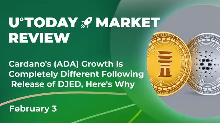 Cardano's (ADA) Growth Is Completely Different Following Release of DJED, Here's Why