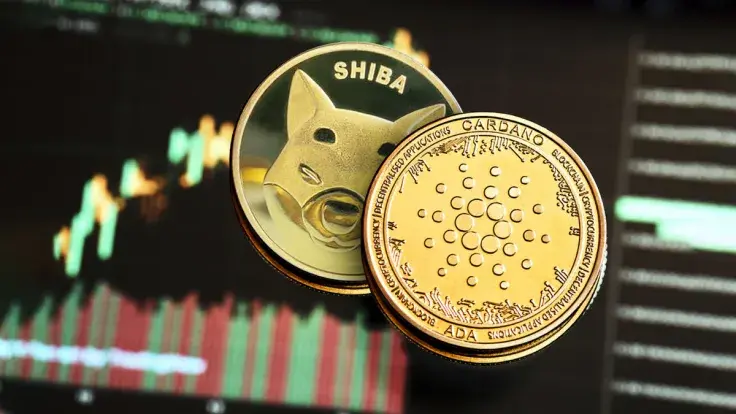 Shiba Inu (SHIB) and Cardano (ADA) Show Something You Don't Want to Miss