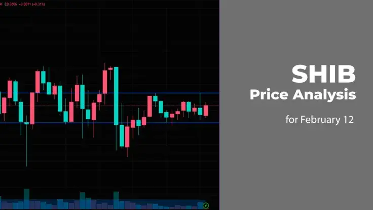 SHIB Price Analysis for February 12