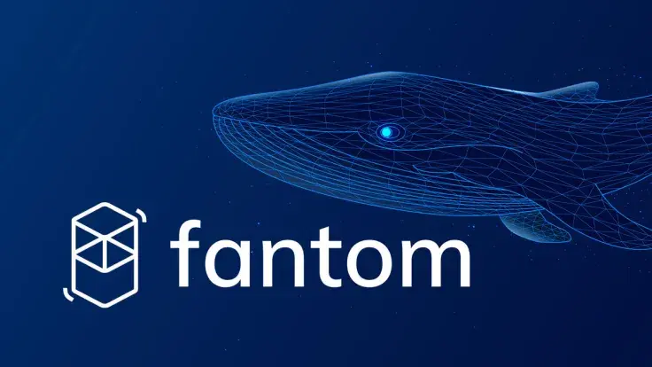 Fantom (FTM) up 11% Amid Whale Dump, Here's Reason
