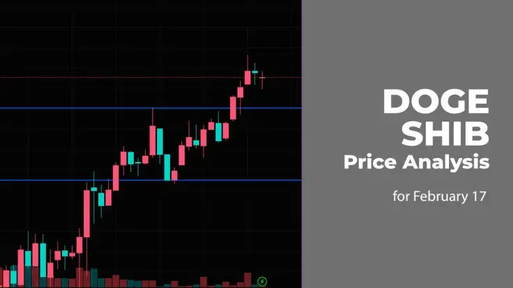 DOGE, SHIB Price Analysis for February 17