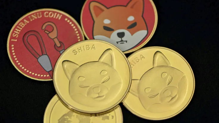 Shiba Inu Token LEASH Gets New Listing, Trading Volume Skyrockets 913%