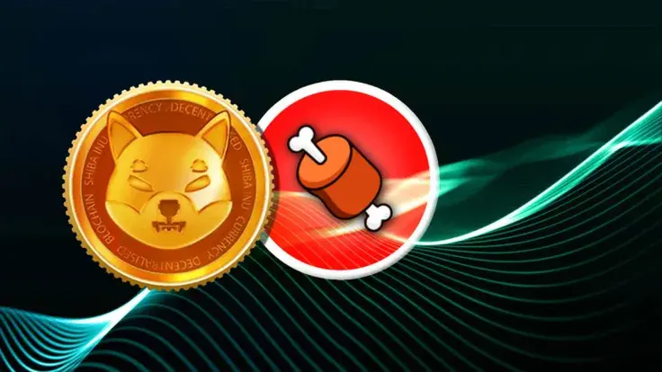 Shiba Inu's BONE Rallies 8% as SHIB Dev Hints Positive News: Details