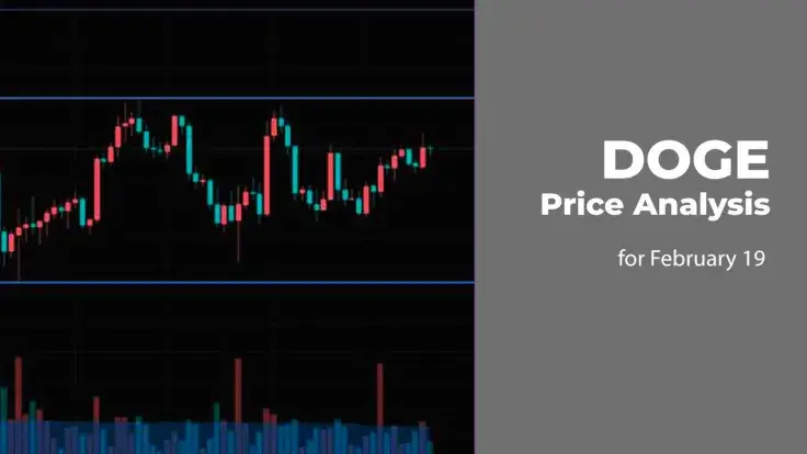 DOGE Price Analysis for February 19