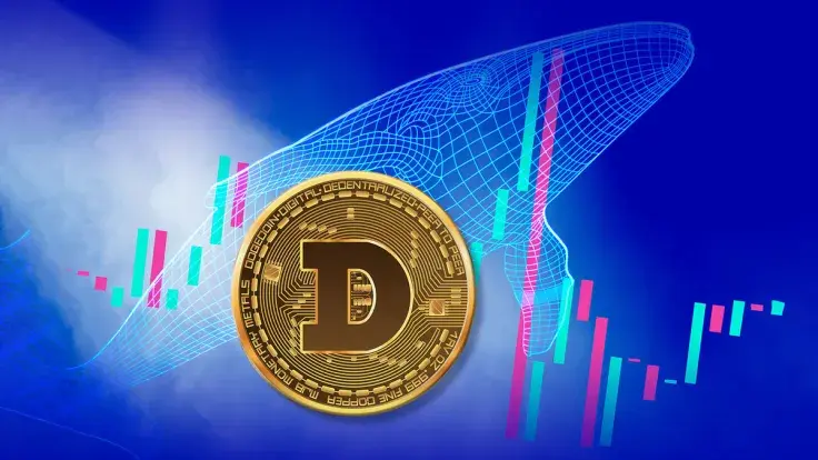 Top 20 Dogecoin (DOGE) Whale Adding More to Wallet, Here's Why