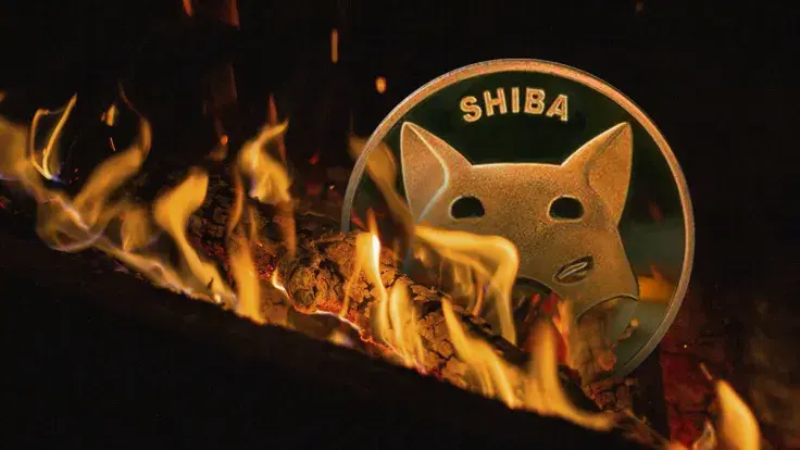 Shiba Inu (SHIB) Burn Rate Continues to Decline, Here's What May Be Keeping It Down
