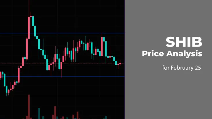 SHIB Price Analysis for February 25