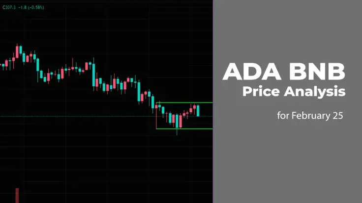 ADA and BNB Price Analysis for February 25