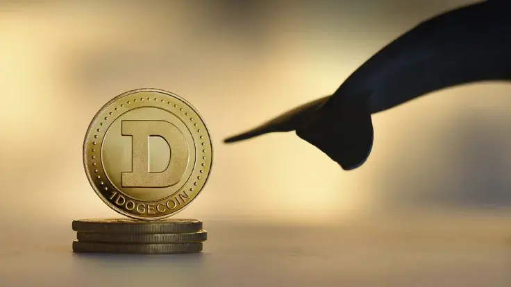 Dogecoin Gains Traction, Whales Hold Billions of DOGE at These Levels: Analyst