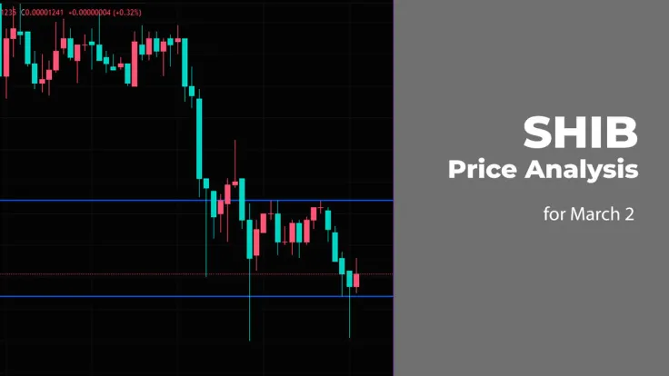SHIB Price Analysis for March 2