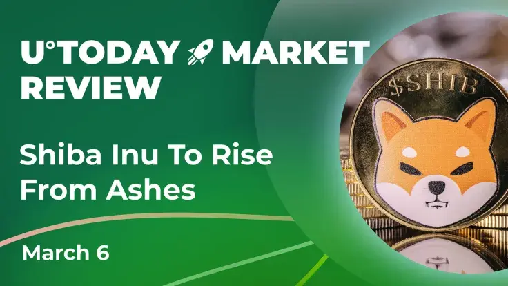 Two Important Shiba Inu (SHIB) Factors Show That It Might Face Recovery in Upcoming Days: Details