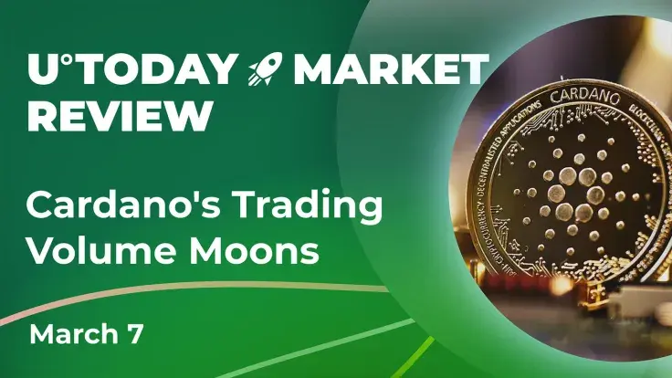Cardano Trading Volume Moons to 23 Billion ADA, Could This Spark New Bull Run?