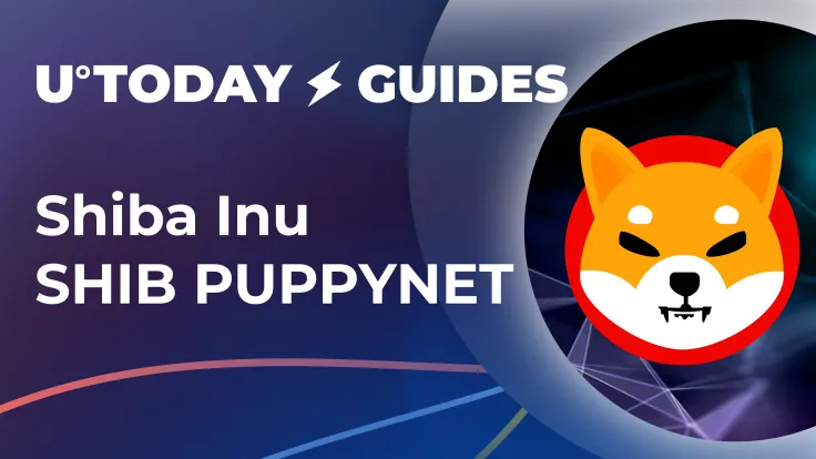 Shibarum PUPPYNET by Shiba Inu (SHIB) FAQ: Guide